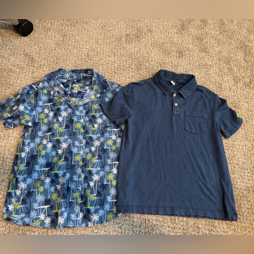 Blue Button-Up Shirt and Polo